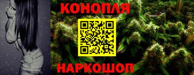 прущие крисы Новокубанск